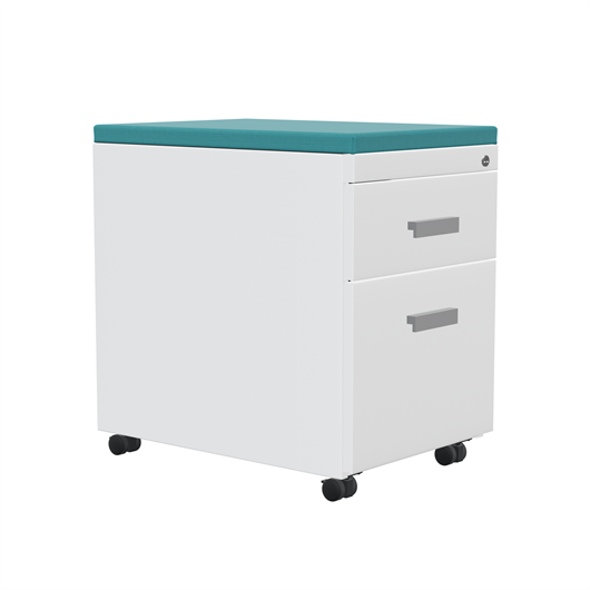 TS Series Mobile Pedestal with Cushion Top