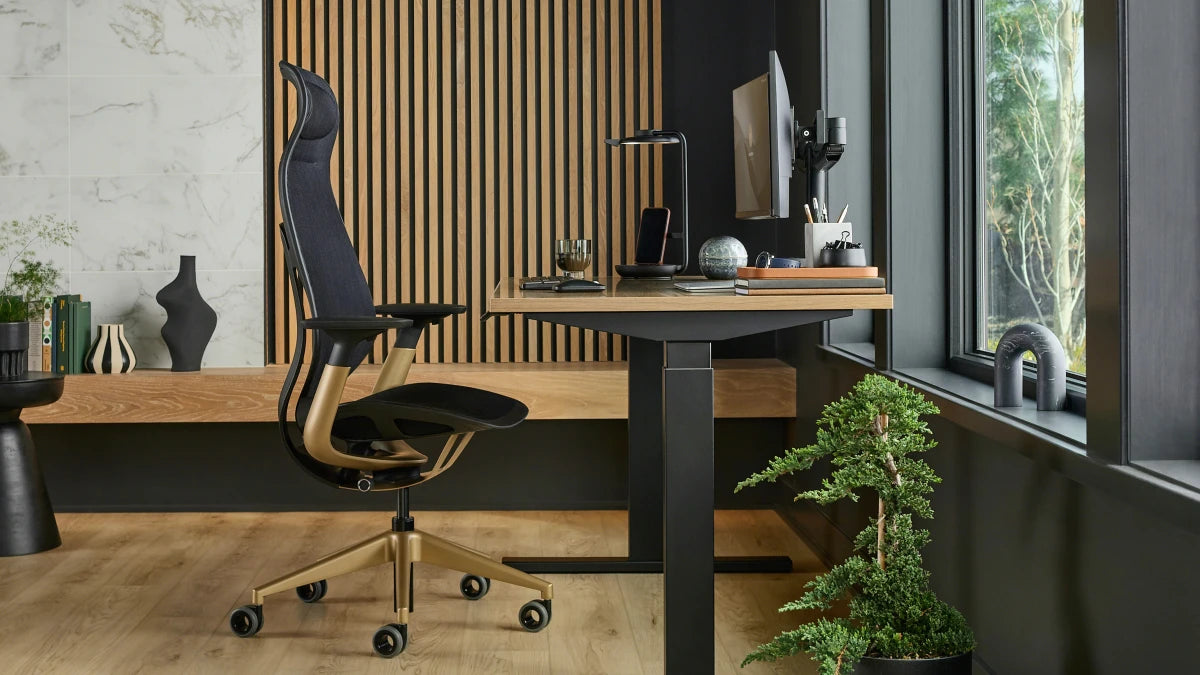 Migration SE Sit-to-Stand Desk