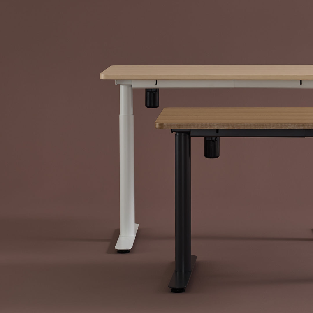 Sit to Stand