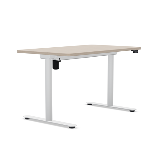 AMQ Sit-to-Stand Desk