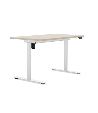 AMQ Sit-to-Stand Desk