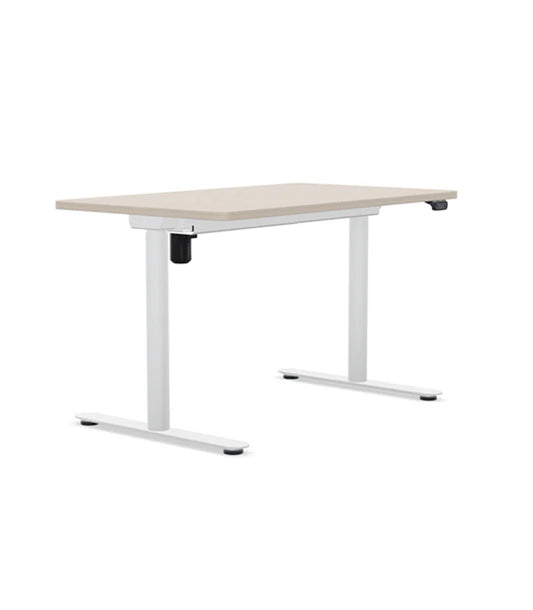 AMQ Sit-to-Stand Desk