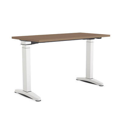 Ology Sit-to-Stand Desk