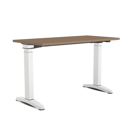 Ology Sit-to-Stand Desk