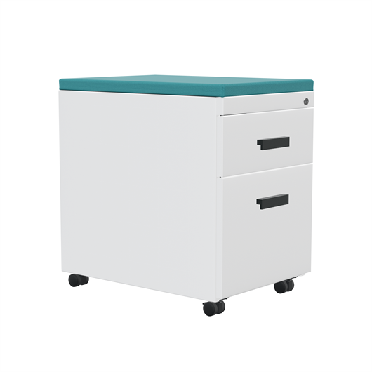 TS Series Mobile Pedestal with Cushion Top