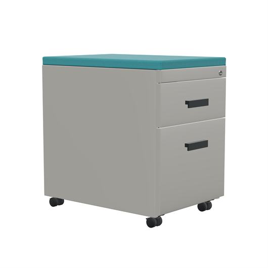 TS Series Mobile Pedestal with Cushion Top