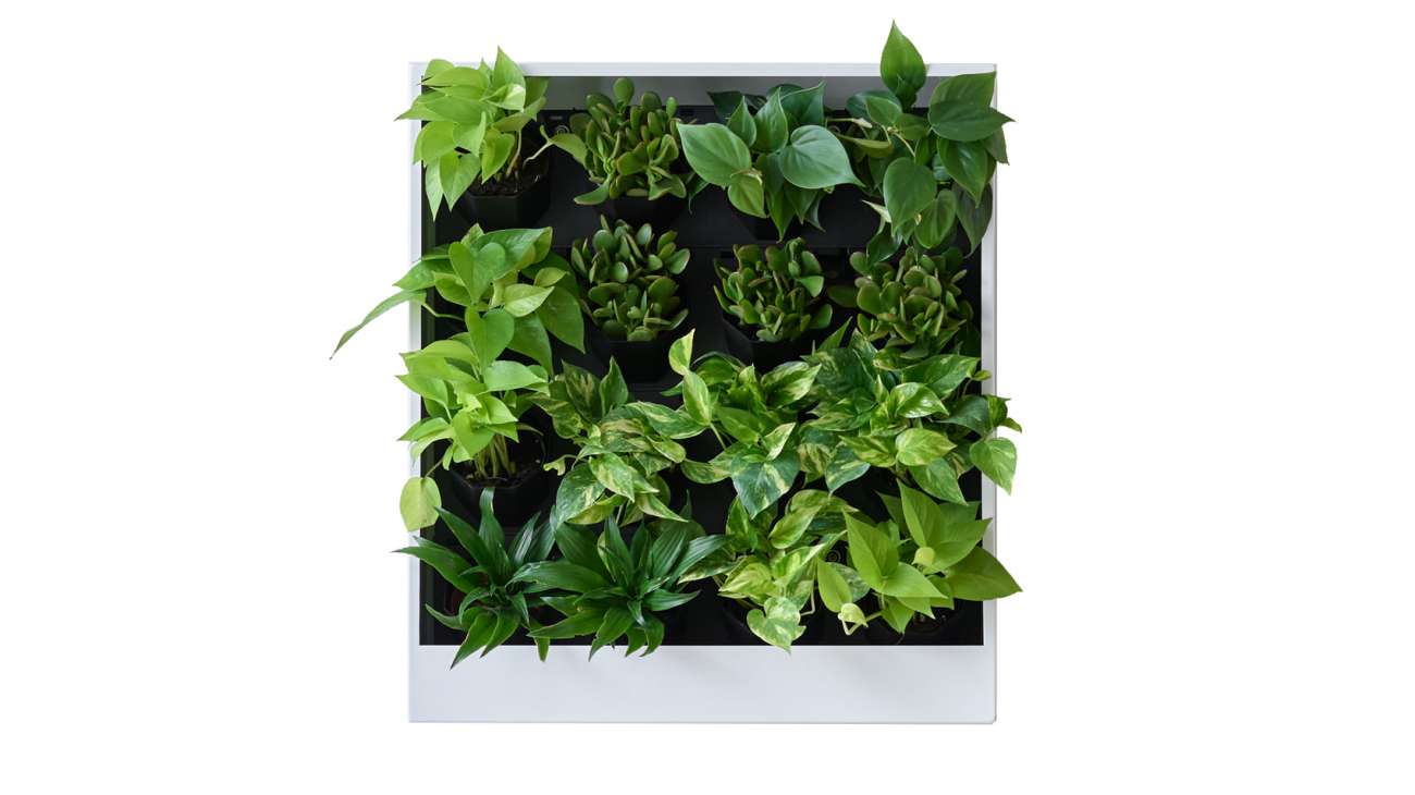 Living Wall Planter
