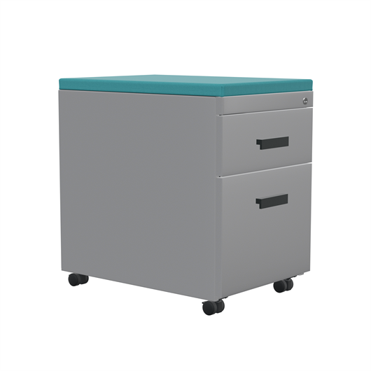TS Series Mobile Pedestal with Cushion Top