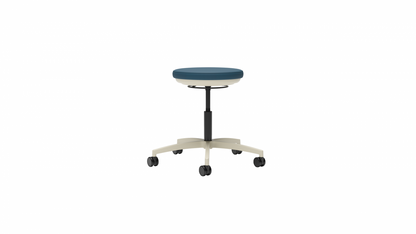 Stray Physician's Stool