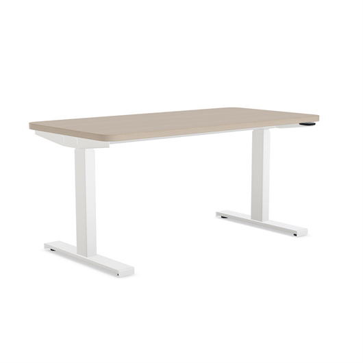 Solo Sit-to-Stand Desk