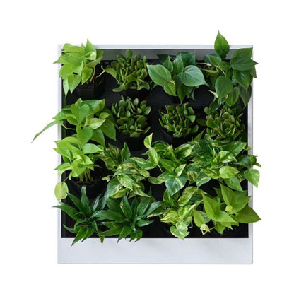 OFS Living Wall Planter on white