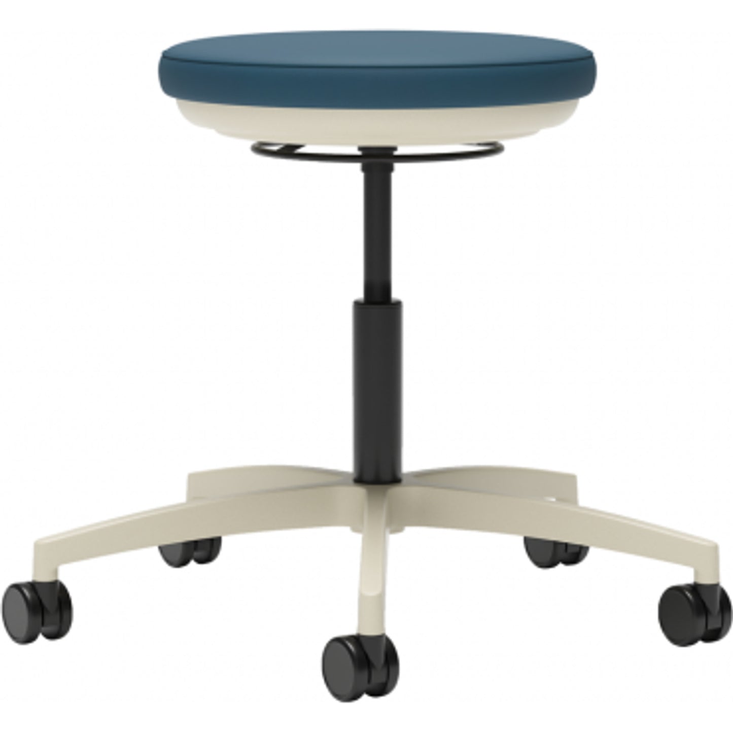 Carolina Stray Physician's Stool