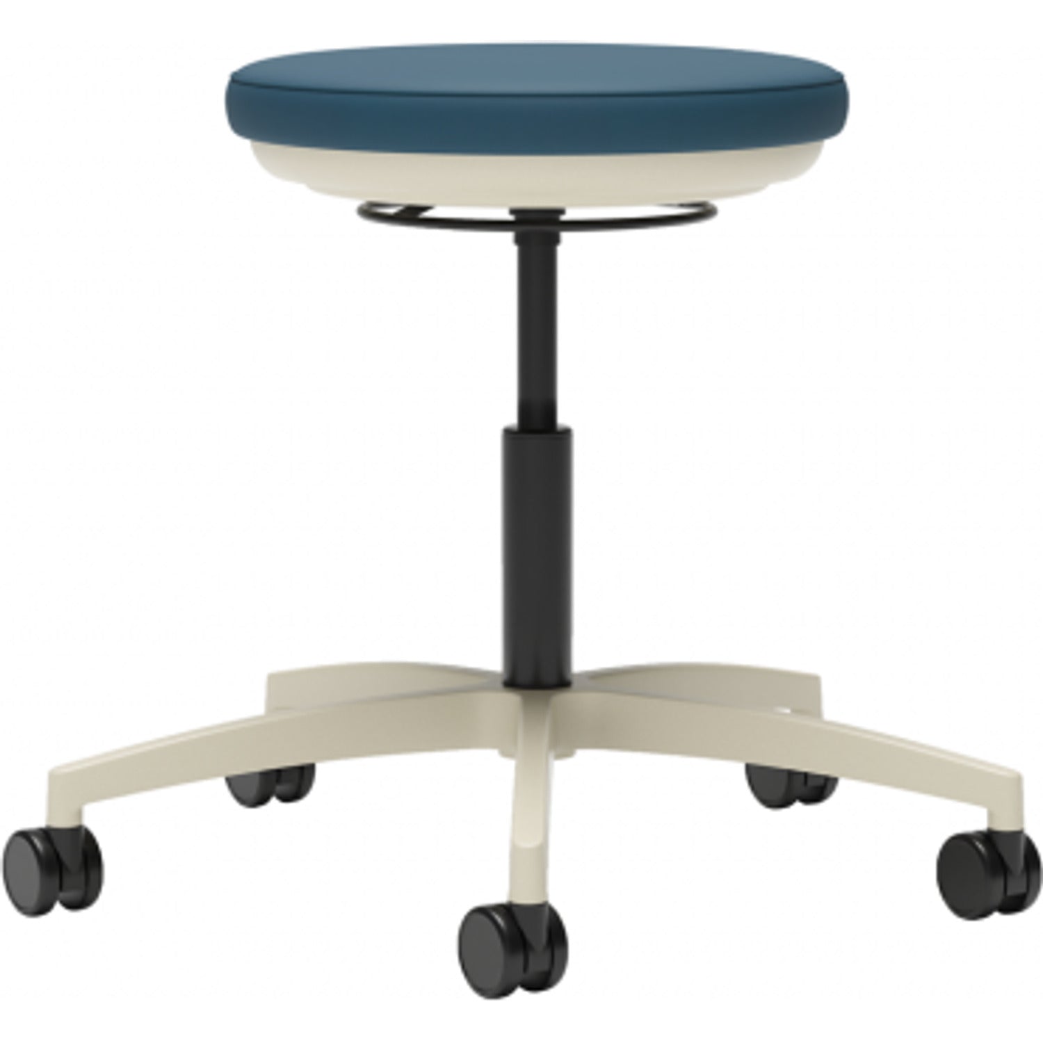 Carolina Stray Physician's Stool