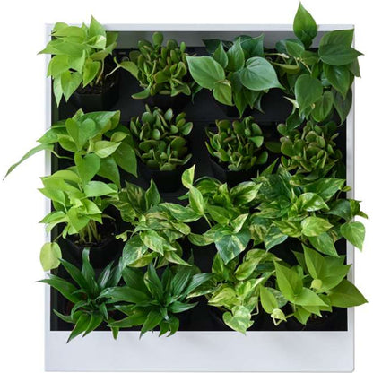 OFS Living Wall Planter