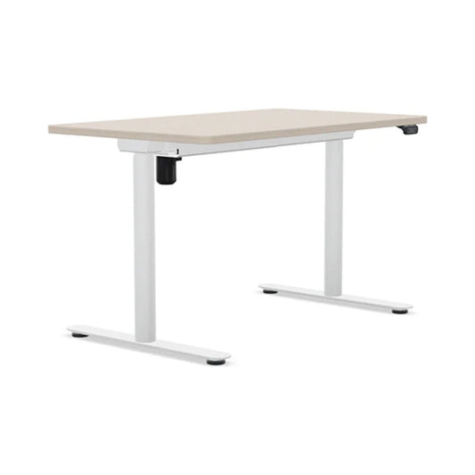 AMQ Sit-to-Stand Desk
